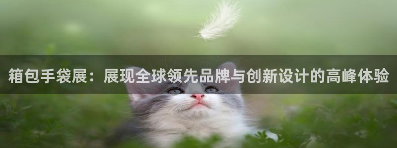 www.富邦娱乐场所