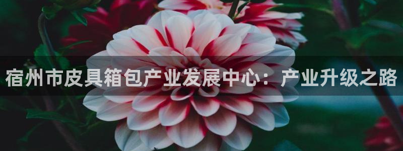 屏山富邦娱乐会所电话