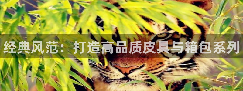 富邦娱乐app的三个版本
