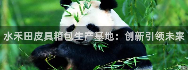 富邦娱乐官网-上全狐网