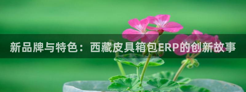 富邦娱乐城fub