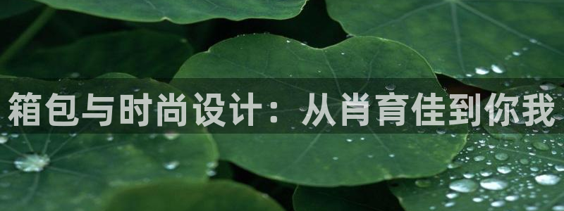 富邦娱乐网址是
