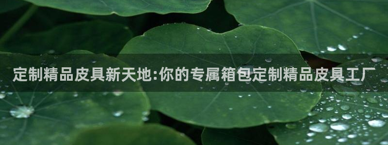 富邦娱乐app官方下载