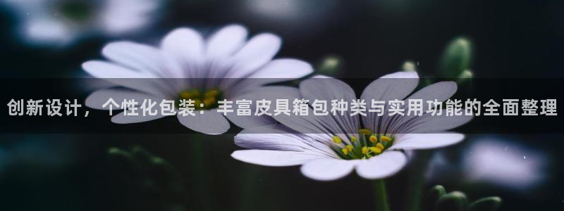 富邦娱乐 果敢锦海