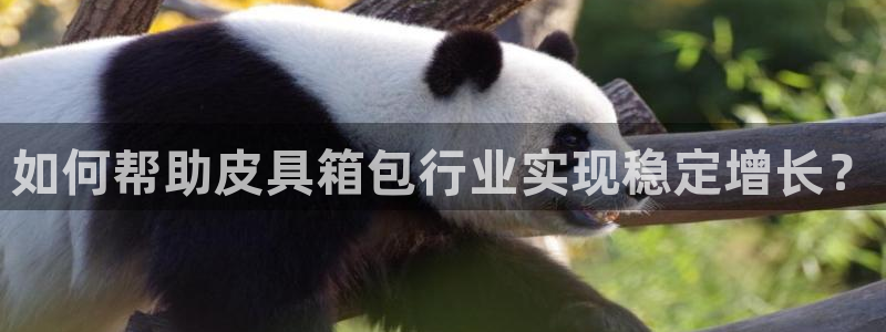 富邦娱乐彩票官网下载