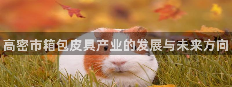 富邦娱乐官网上全狐网