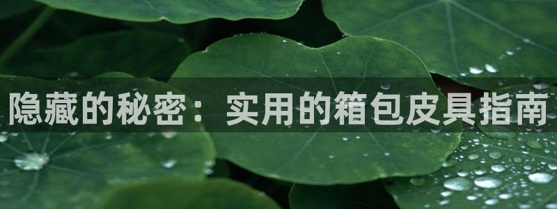 富邦酒店有娱乐场所