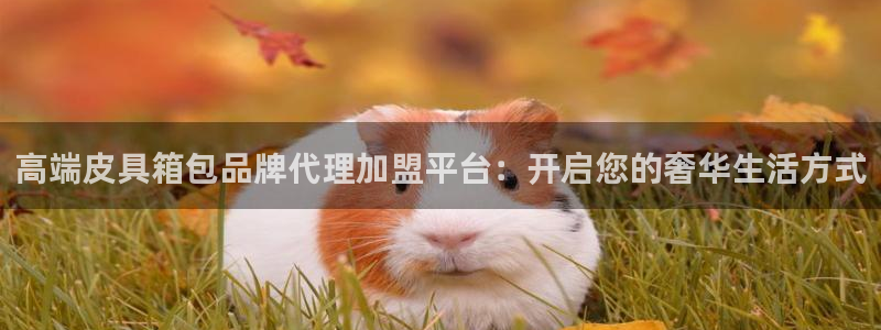 富邦娱乐会员账号大全
