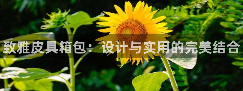 富邦广场娱乐