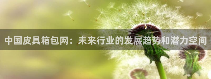富邦娱乐2024最新消息