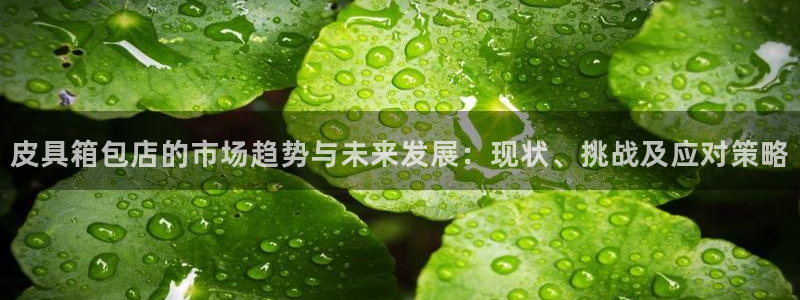 富邦娱乐城999