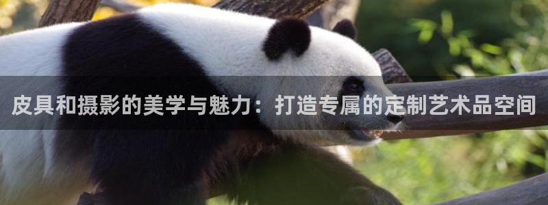 富邦娱乐集团