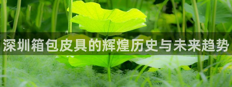 临平富邦娱乐总监山鸡