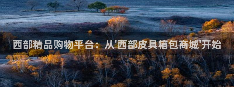 上海邦富娱乐
