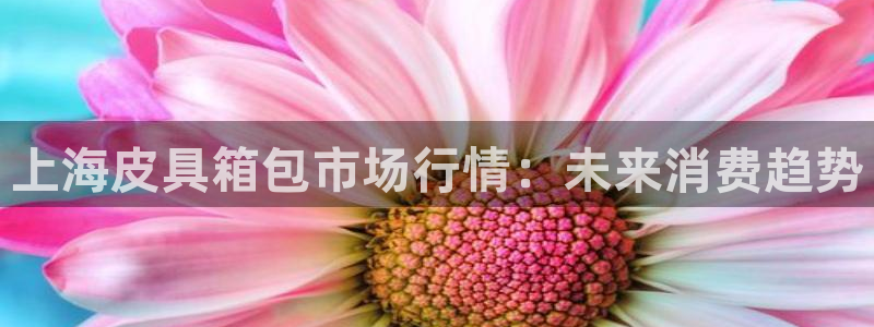富邦娱乐团购