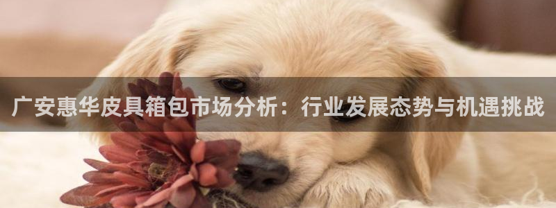 富邦娱乐城打牌