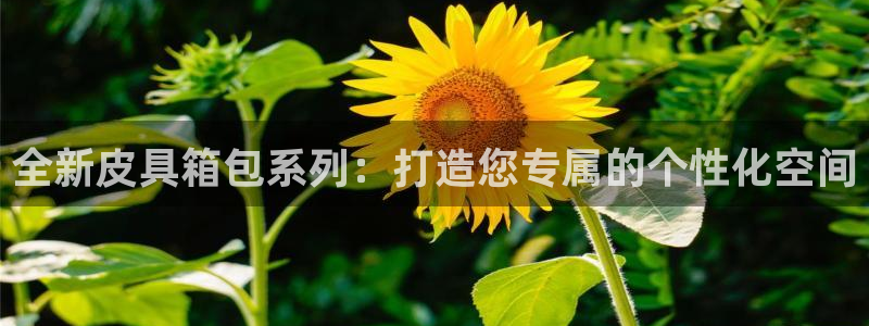 上海邦富娱乐有限公司
