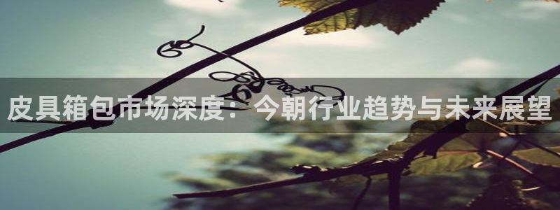 富邦娱乐大厅优惠活动