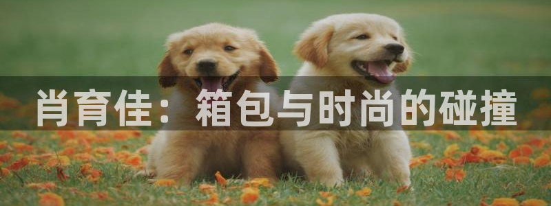 盐城富邦娱乐