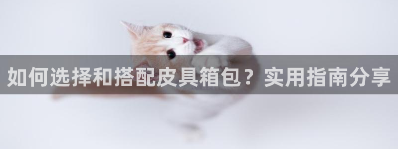 富邦娱乐提现不了
