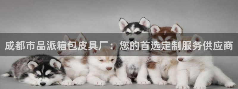 富邦娱乐花花公子