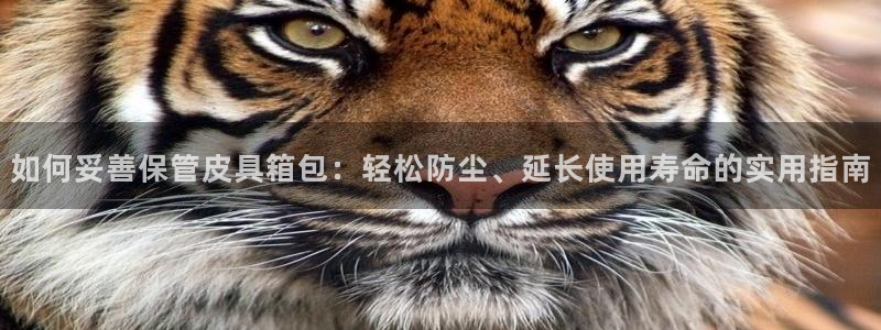 富邦娱乐会所