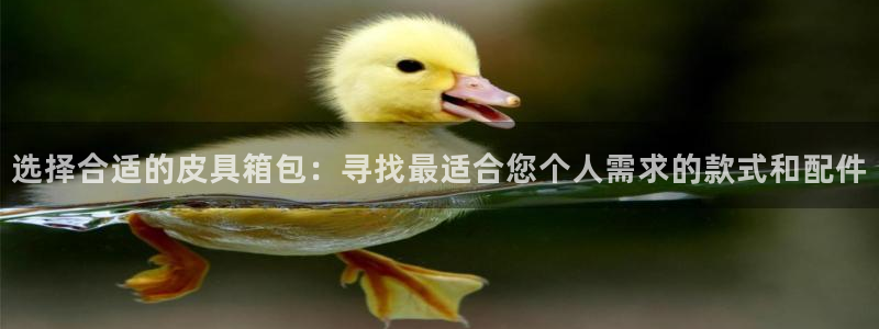 富邦娱乐官网上全狐网