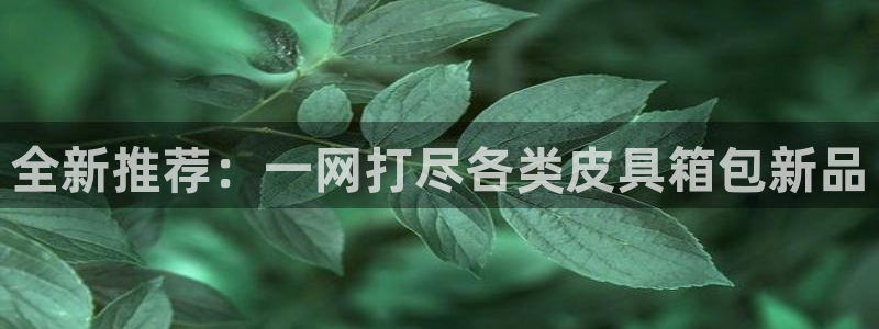 北仑富邦推荐娱乐项目