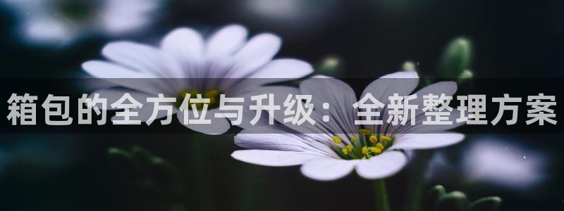 宁波北仑富邦娱乐
