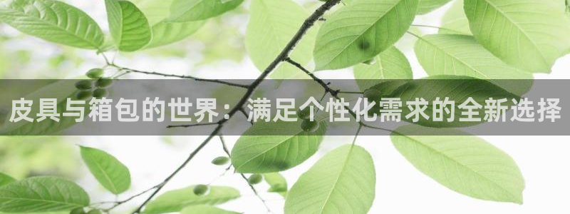富邦娱乐 www.3806.com
