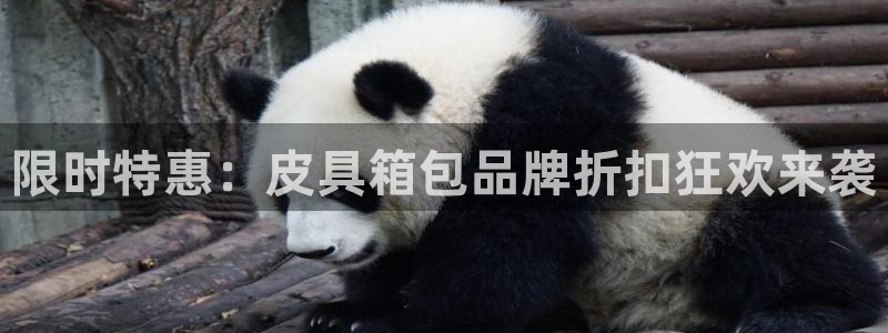 温州富邦娱乐