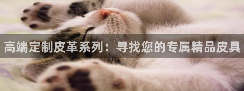 富邦翡翠娱乐怎么样知乎