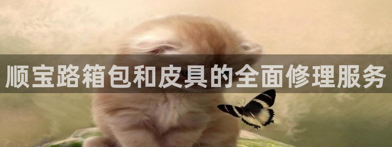 富邦娱乐平台-上全狐网